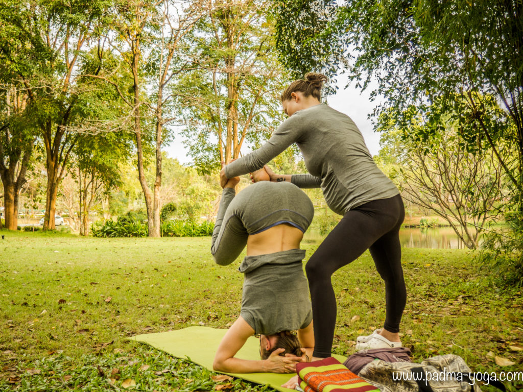 Yoga avec les éléphants