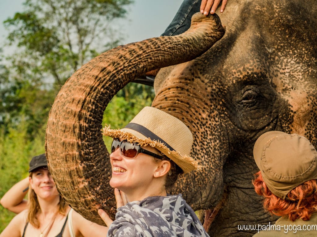 Yoga avec les éléphants