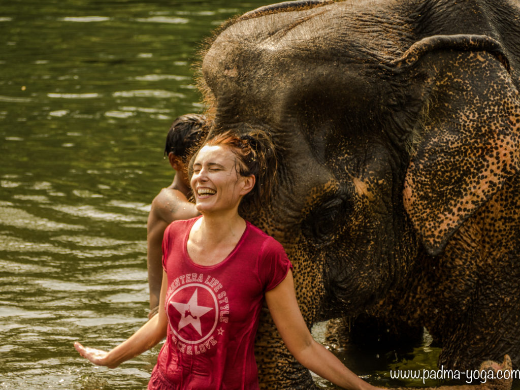 Yoga avec les éléphants
