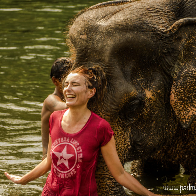 Yoga avec les éléphants