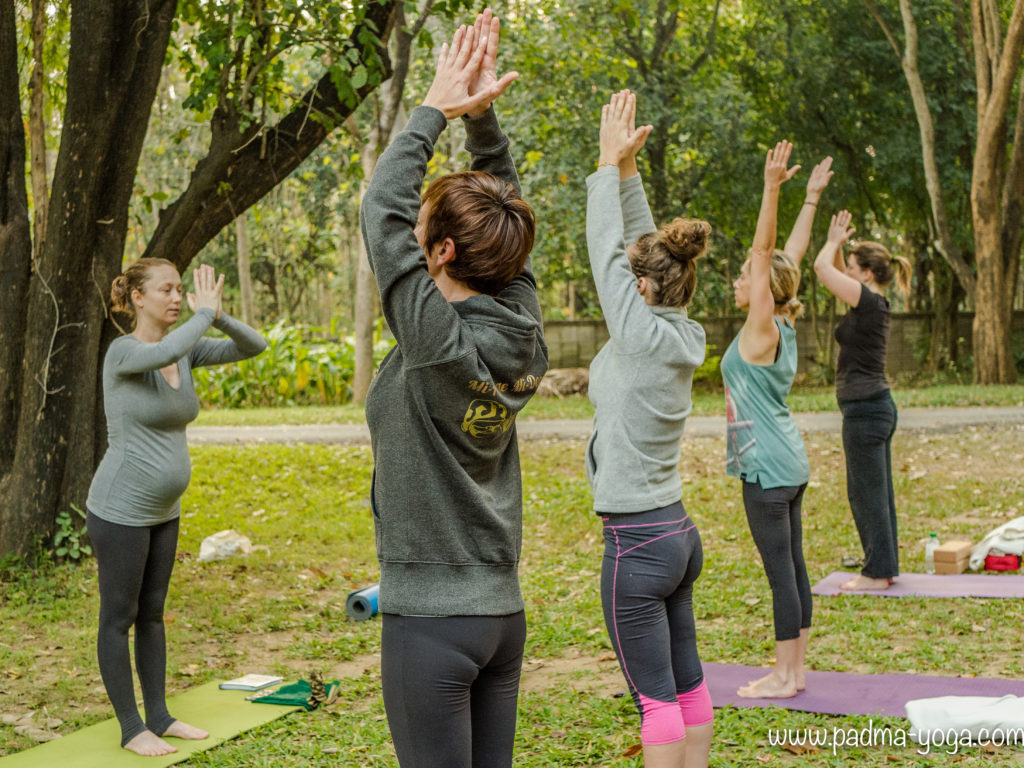 Yoga avec les éléphants