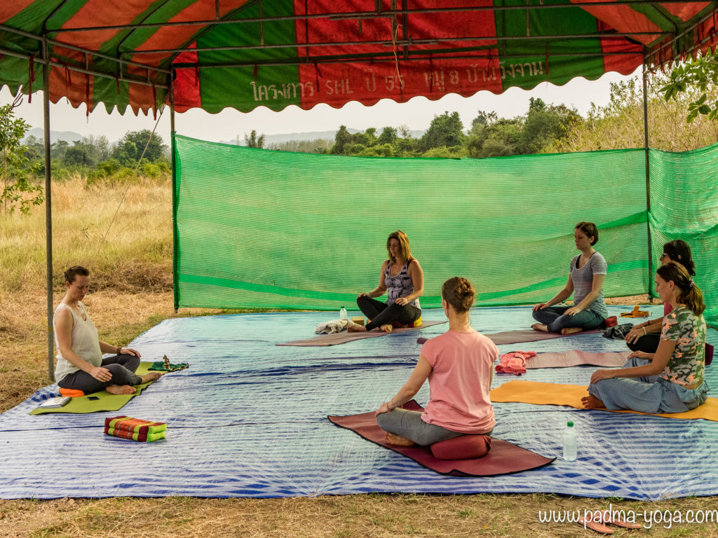 Yoga avec les éléphants