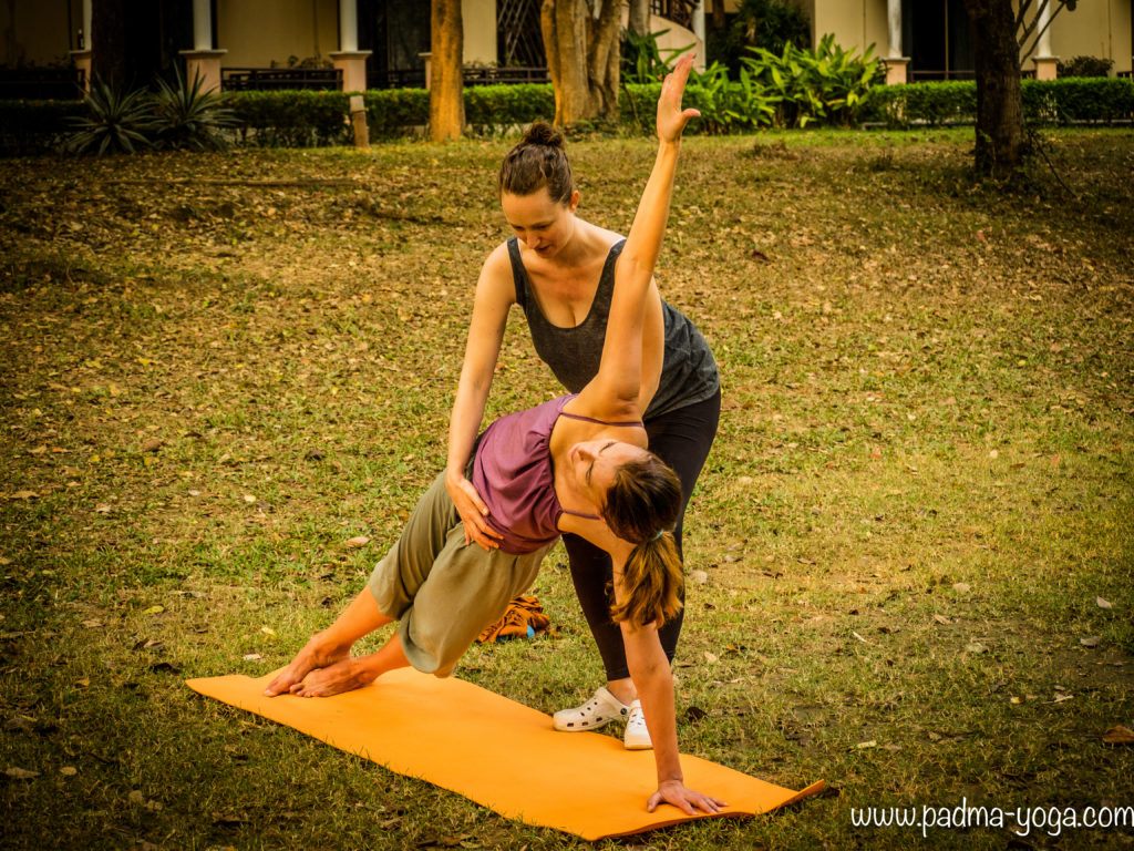 Yoga avec les éléphants