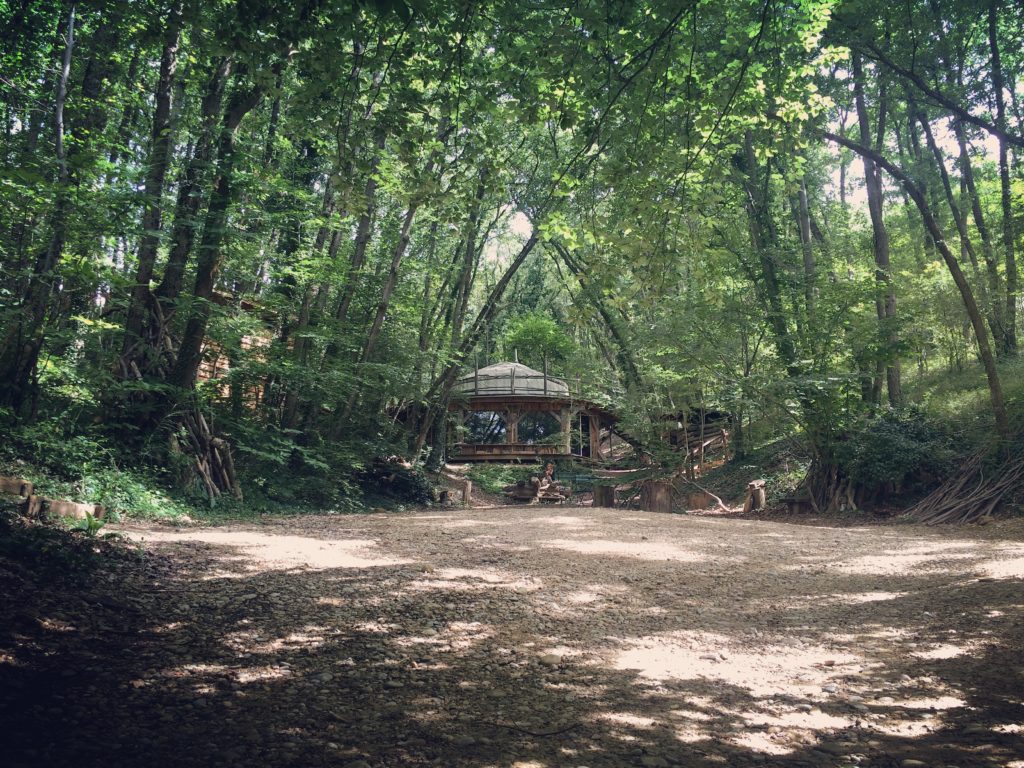 Yoga dans les bois