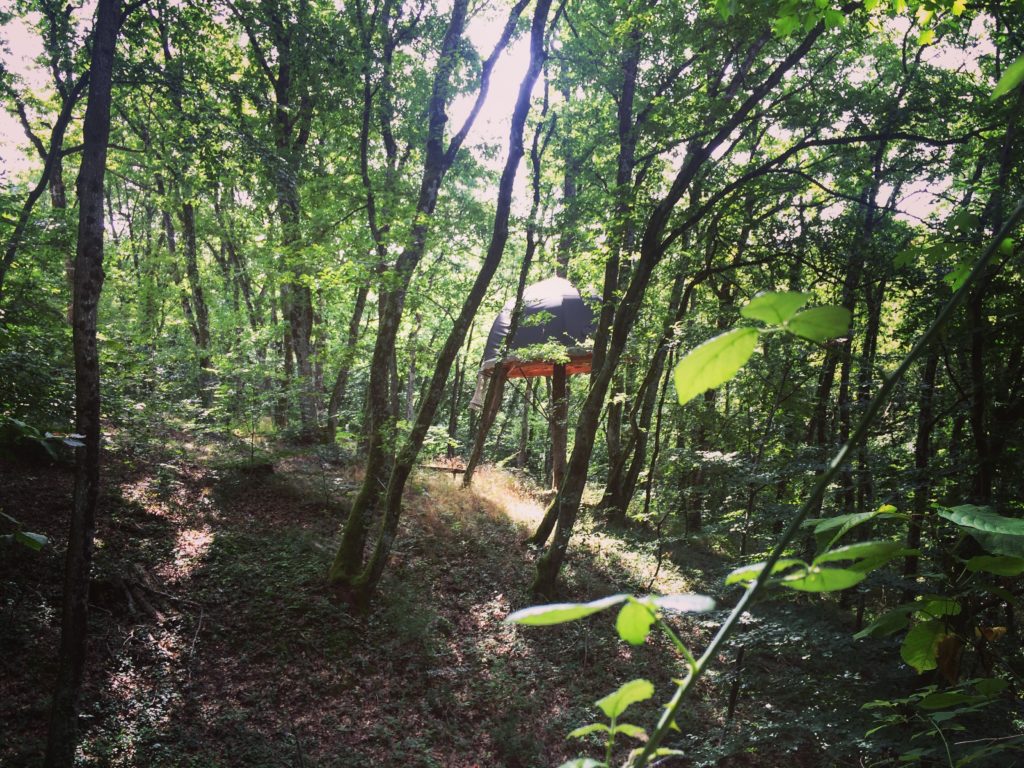 Yoga dans les bois