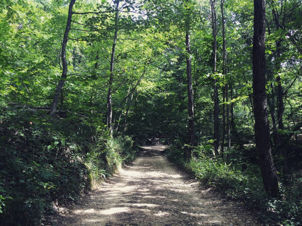 Yoga dans les bois
