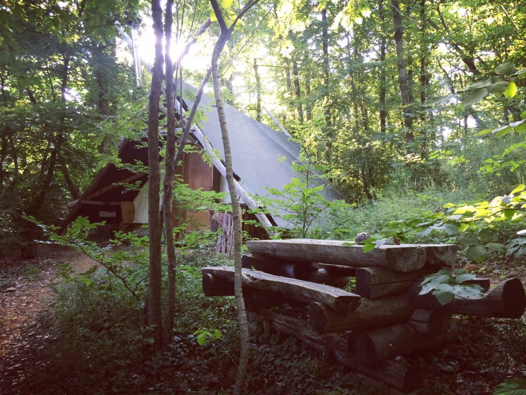 Yoga dans les bois