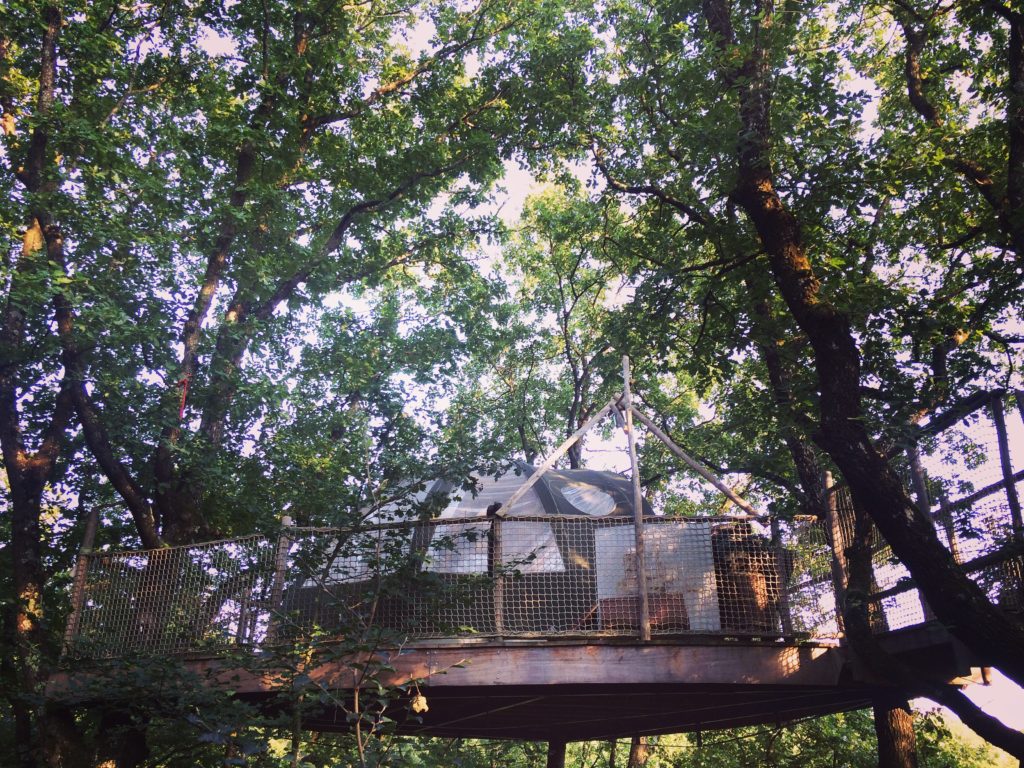 Yoga dans les bois