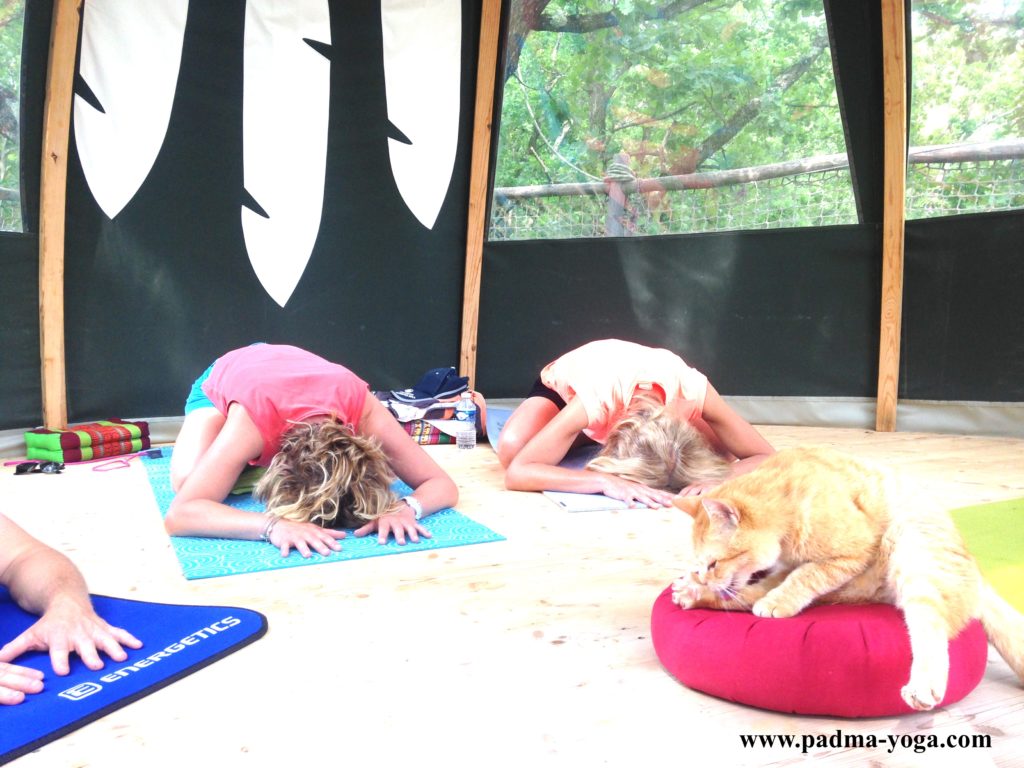 Yoga dans les bois