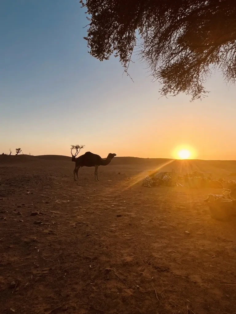 Magnifique coucher de soleil, retraite yoga maroc
