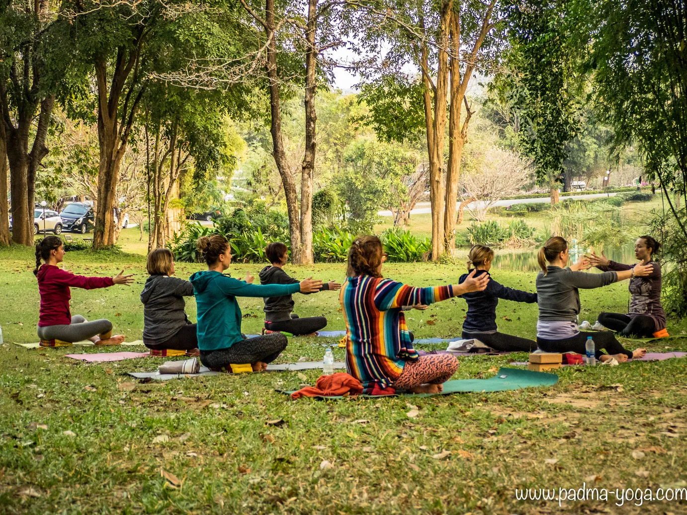 Cours de yoga en pleine air à l'ombre des arbres en Thaïlande, retraite avec Sophie Ancel