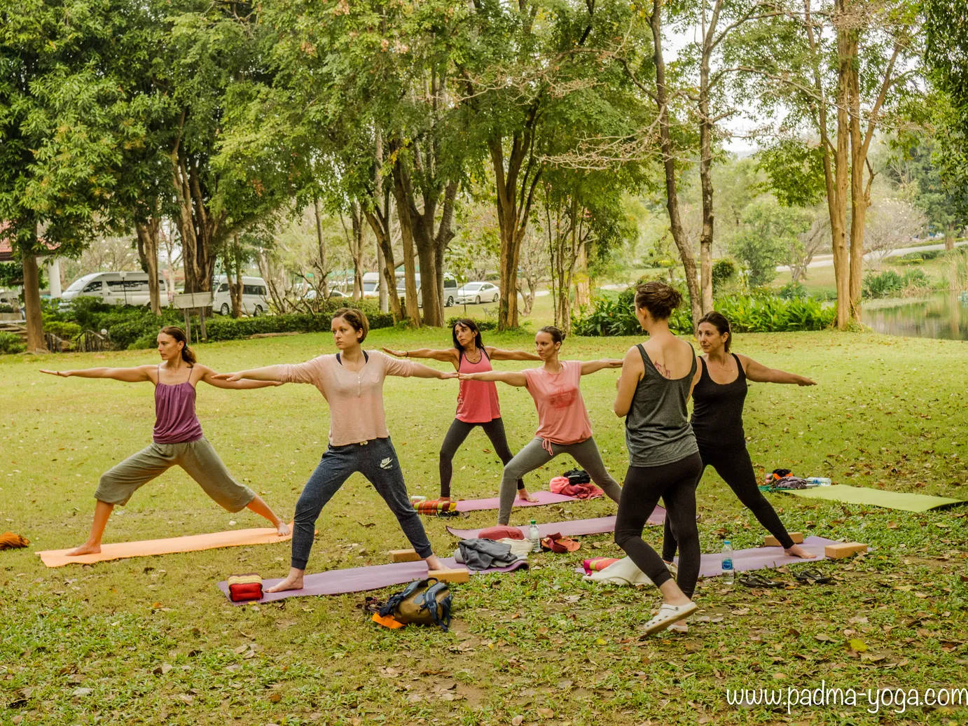 Pratique de yoga matinal lors de la retraite yoga et éléphant en Thaïlande. Instant de reconnexion à soi et à la douceur du chant des oiseaux