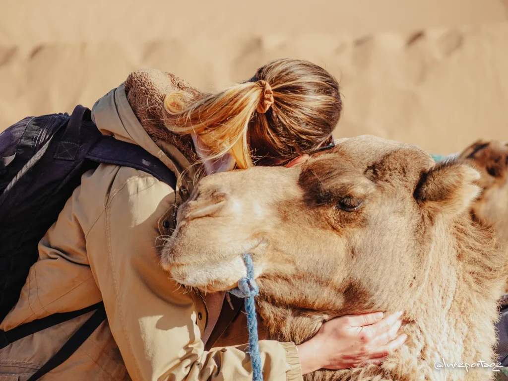 Moment câlin entre une stagiaire et un dromadaire lors du stage yoga et animaux avec Sophie Ancel