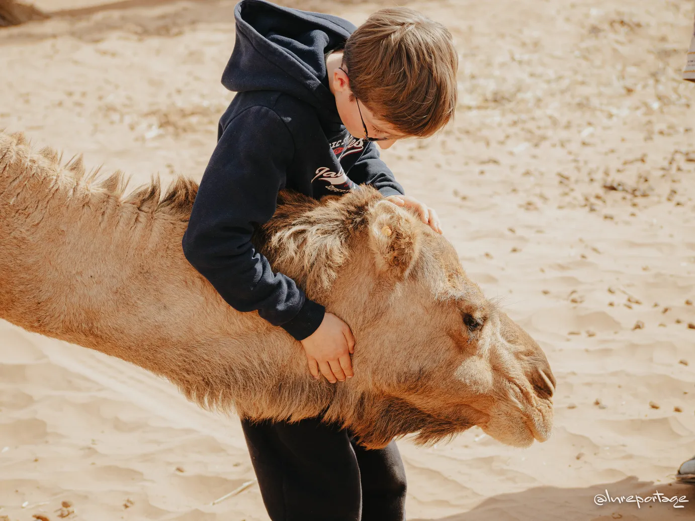 Connexion forte entre un enfant et son ami dromadaire lors du stage YogAnimal avec les dromadaires au Maroc, animé par Sophie Ancel
