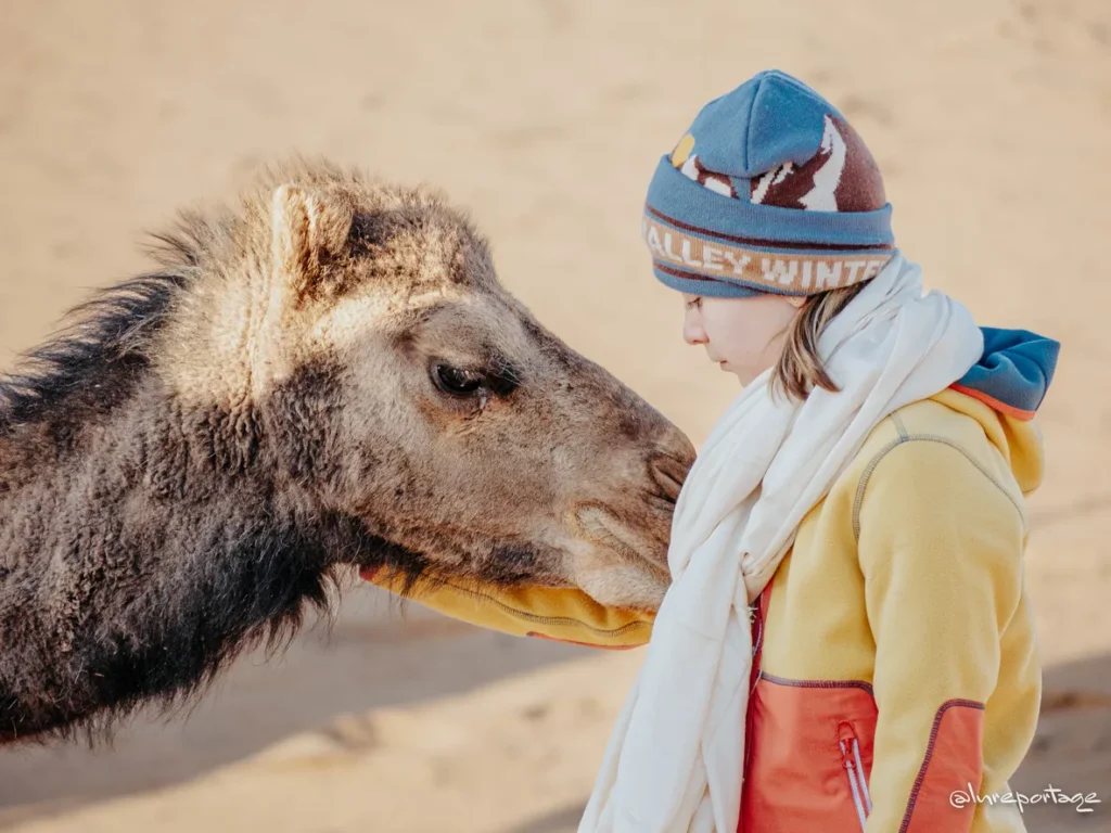 Connexion de coeur à coeur entre un enfant et un dromadaire lors de la retraite YogAnimal parent enfant au Maroc