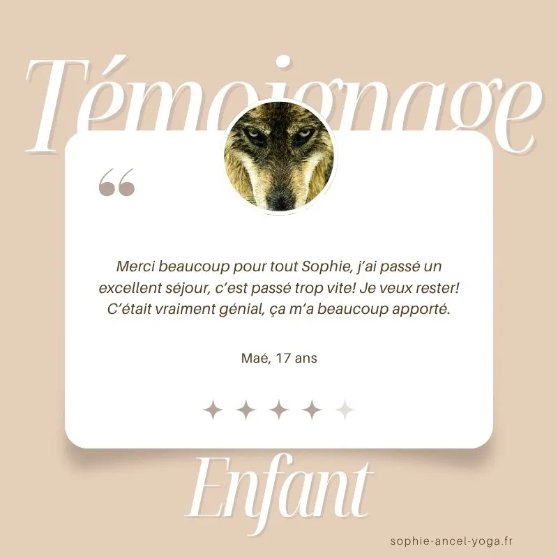 Merci pour ce magnifique témoignage lors de la retraite yoga avec les chiens-loups