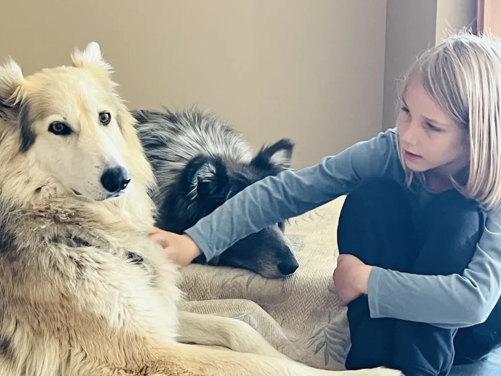 Complicité entre une chienne-louve et un enfant lors de la retraite YogAnimal animé par Sophie Ancel