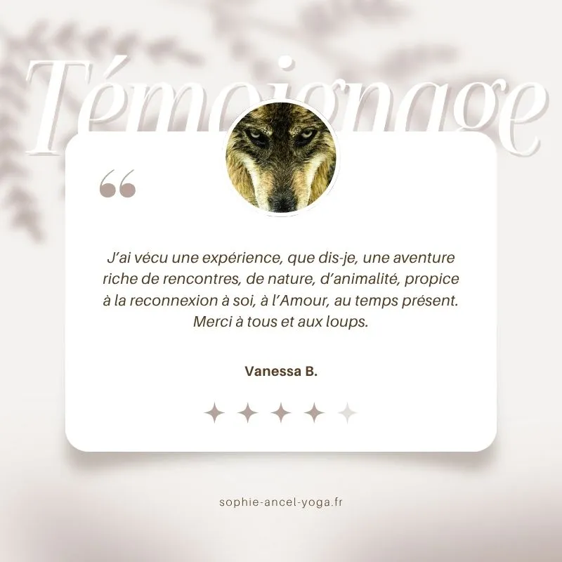 Magnifique témoignage de la retraite pour femmes avec les chiens-loups