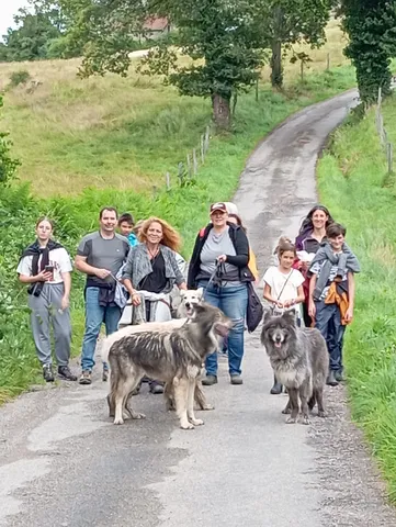 Stage yoga parent enfant, un moment privilégié en nature au contact des animaux