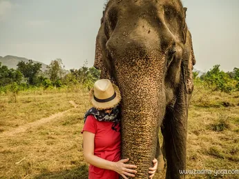 Moment calin de connexion avec une éléphante en Thaïlande