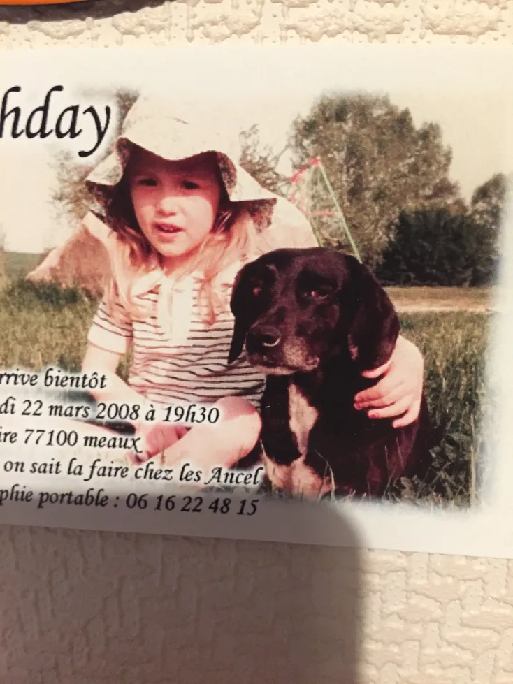 Moment câlin entre une petite fille et sa chienne