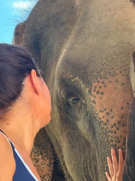 Moment de connexion entre une participante à la retraite de yoga avec les éléphants et une éléphante