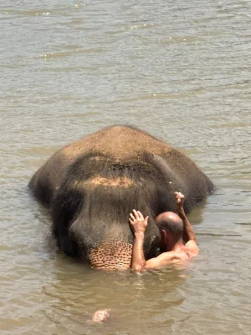 Moment hors du temps. Cet éléphant a autorisé cette rencontre .